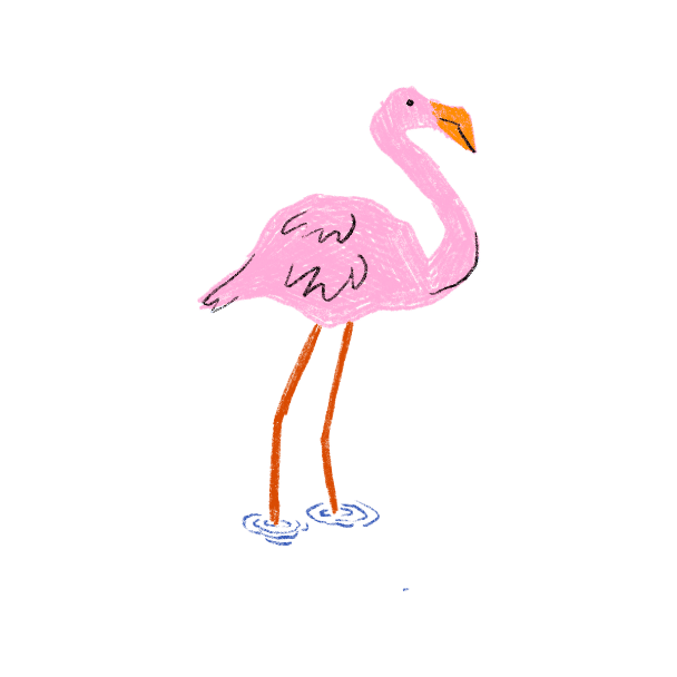 pink flamingo