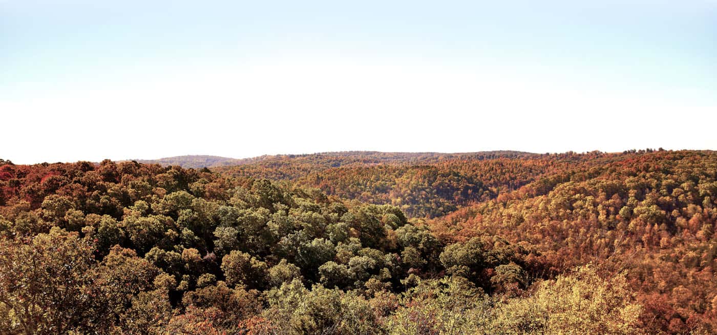 A view of the lush green hills of the Ozark Mountains undulating into the distance.