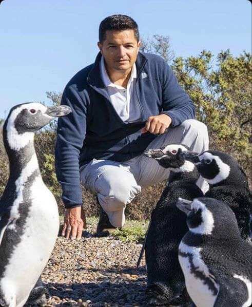 The penguin protector
