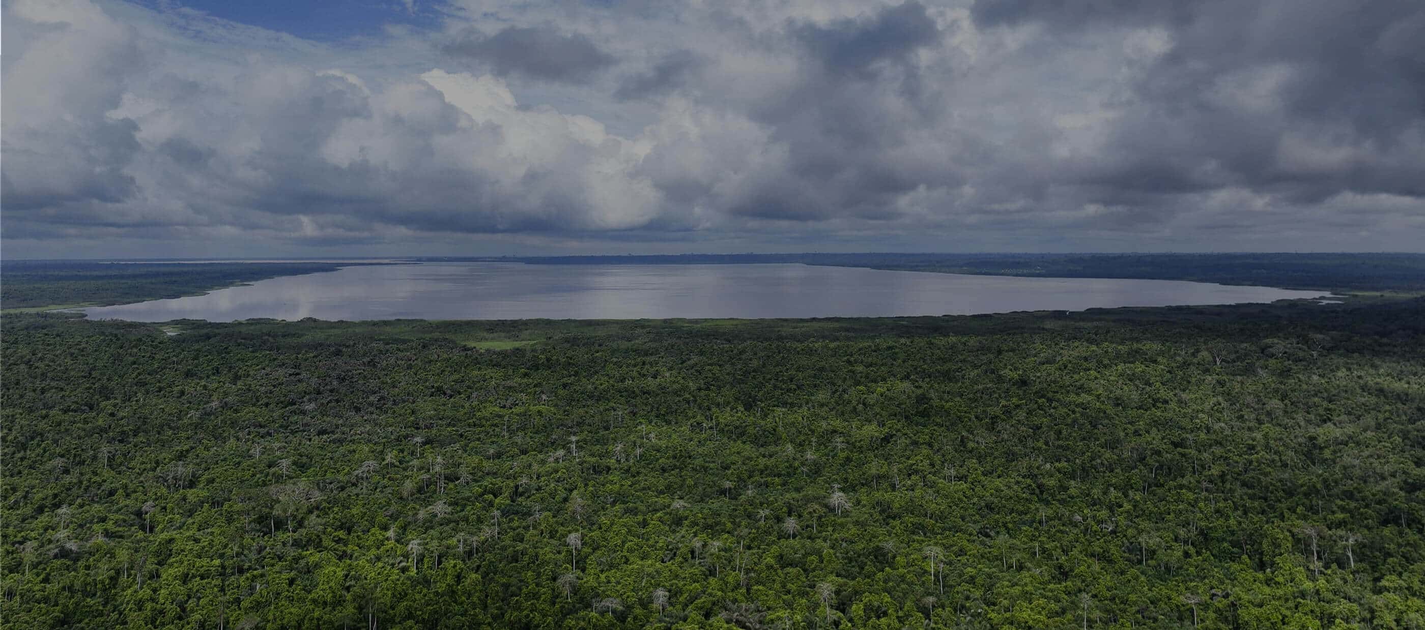The Tanoé-Ehy Forest in Côte d'Ivoire