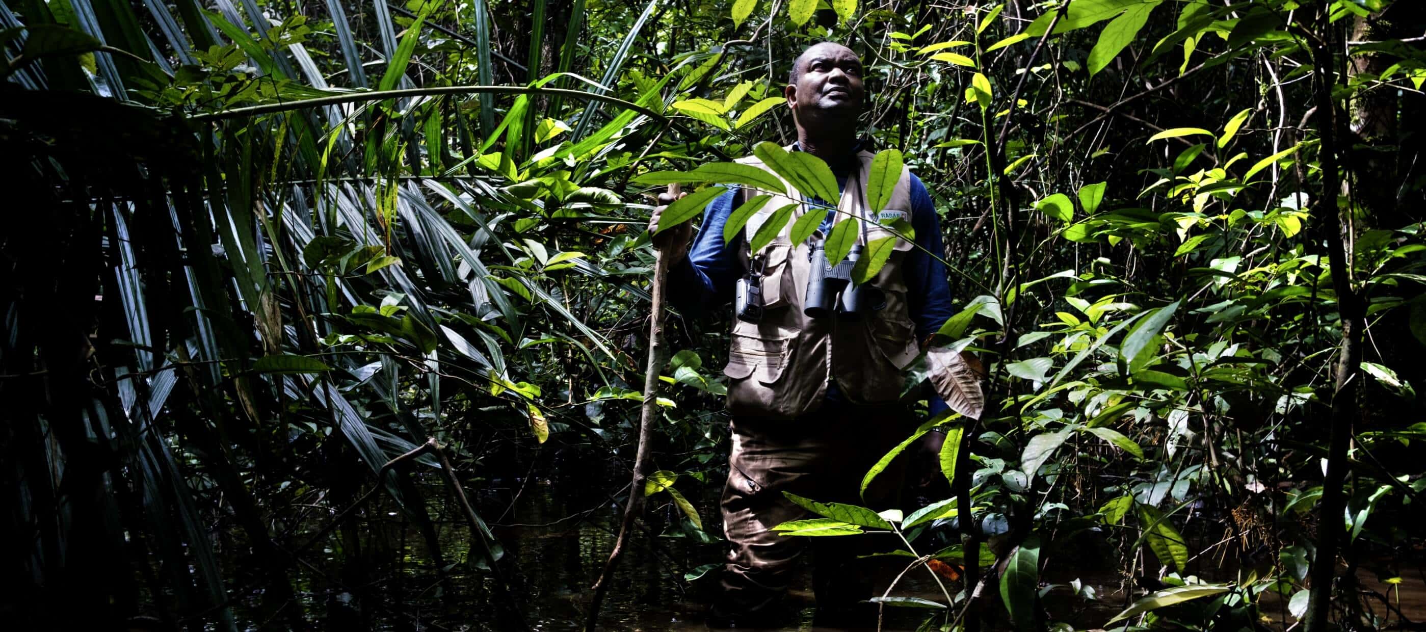 Primatologist Inza Koné walks through the forest.