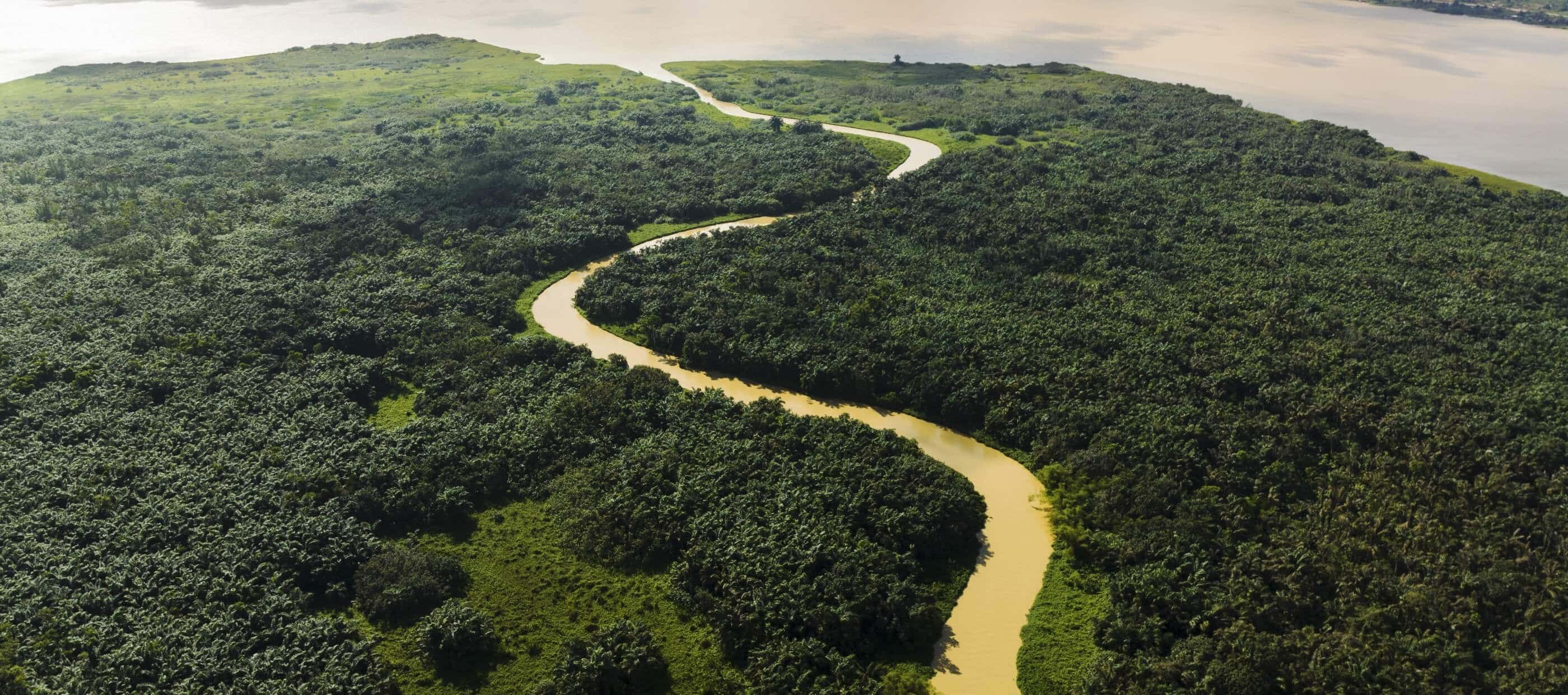 An overhead shot of the river winding through the Tanoé-Ehy Forest.