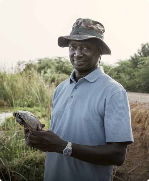 Read about another Rolex Laureate’s project: saving Africa's endangered turtles.