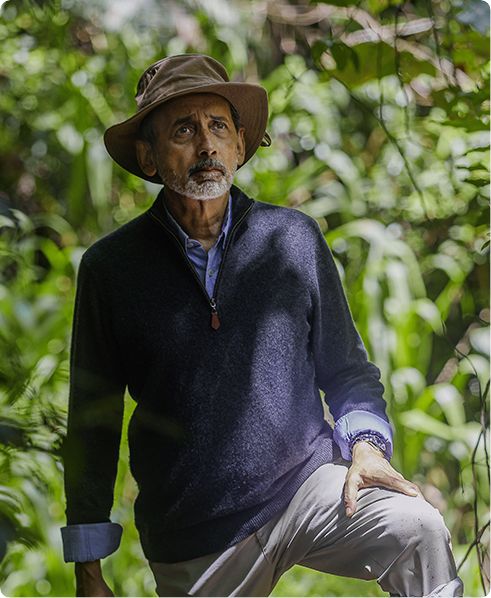 Read about another Rolex Laureate’s project: turning tea plantations into cloud forests.