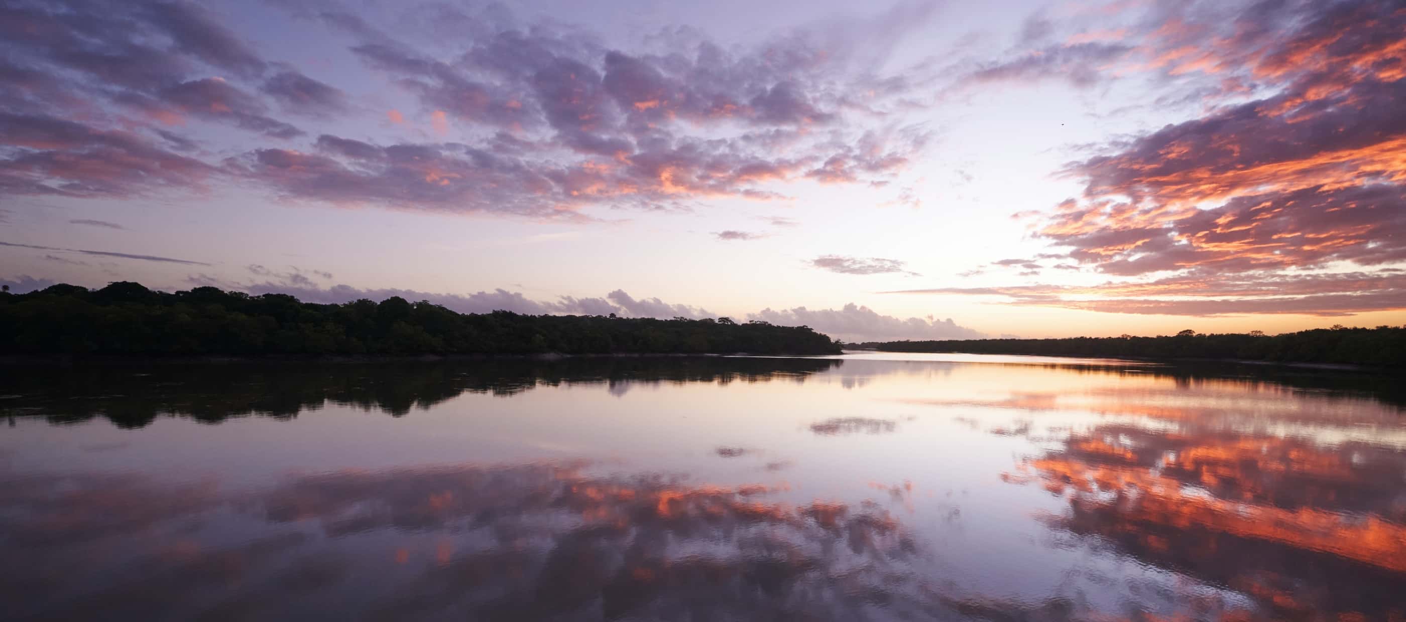 A placid section of the Amazon River at sunset, with mangrove forests silhouetted along the riverbank.