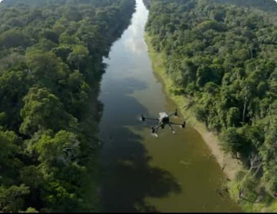 Watch In the Flooded Forest, a Rolex short film about another project under the banner of the Perpetual Planet Amazon Expedition.