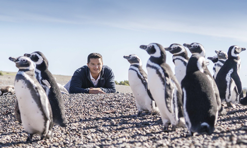The penguin protector