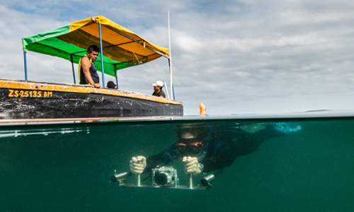 A novel strategy for safeguarding the seas