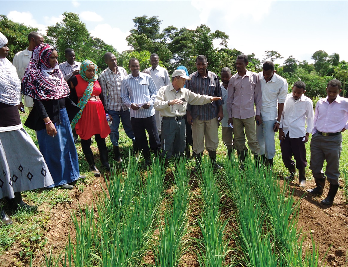 Senior rice technical advisor Mr. Tsuboi works alongside African farmers.