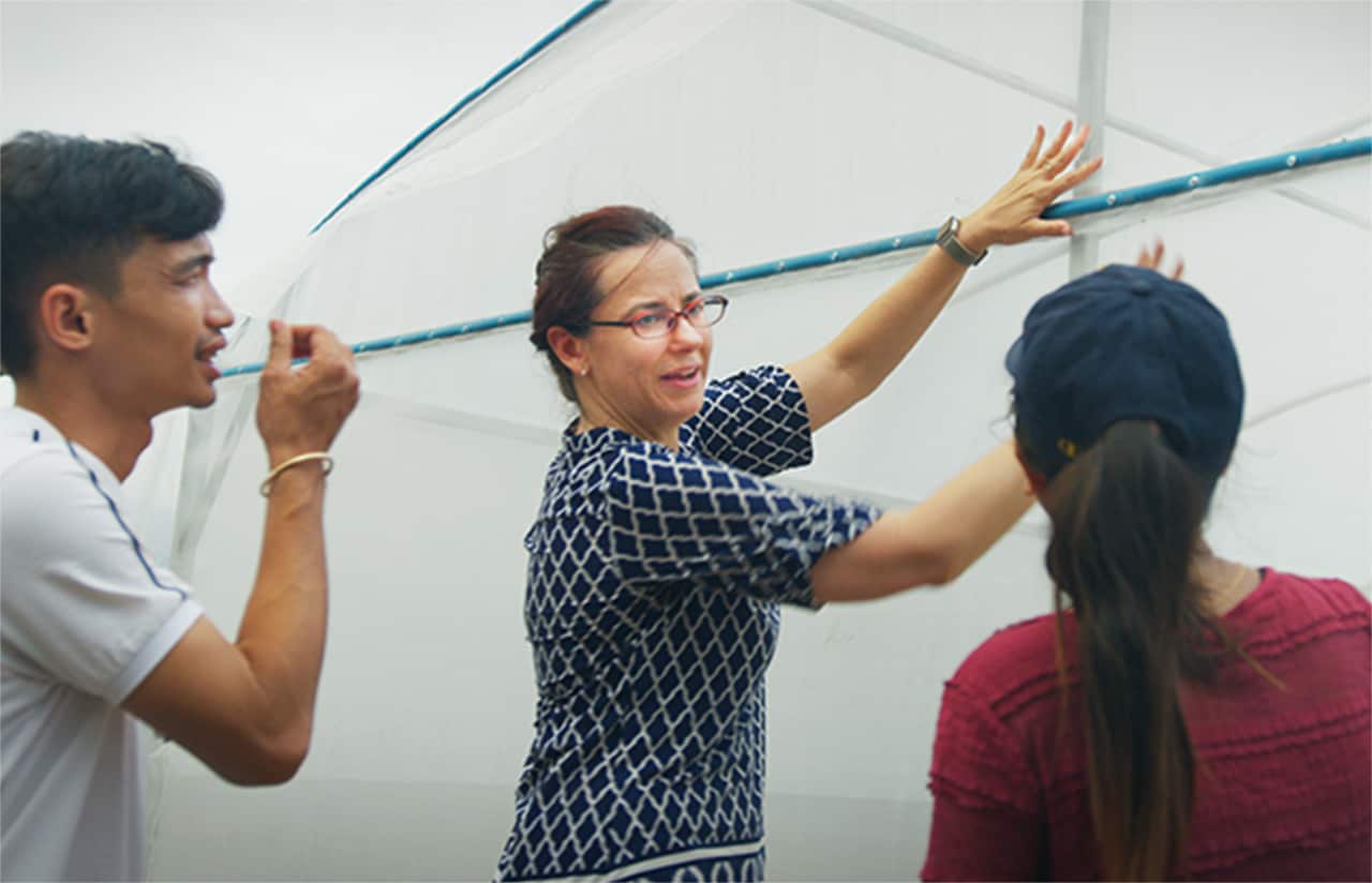 UC Davis researcher Karen LeGrand, center, discusses new features of a nethouse on a farm near Battambang with graduate students from Cambodia's Royal University of Agriculture. Photo credit: Max Fannin for UC Davis 