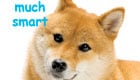 Plus, get tl;dr versions of items about the kid-friendly iPhone app that's all about butts, why energy drinks are the new gateway drug and the evolution of human emotion. 