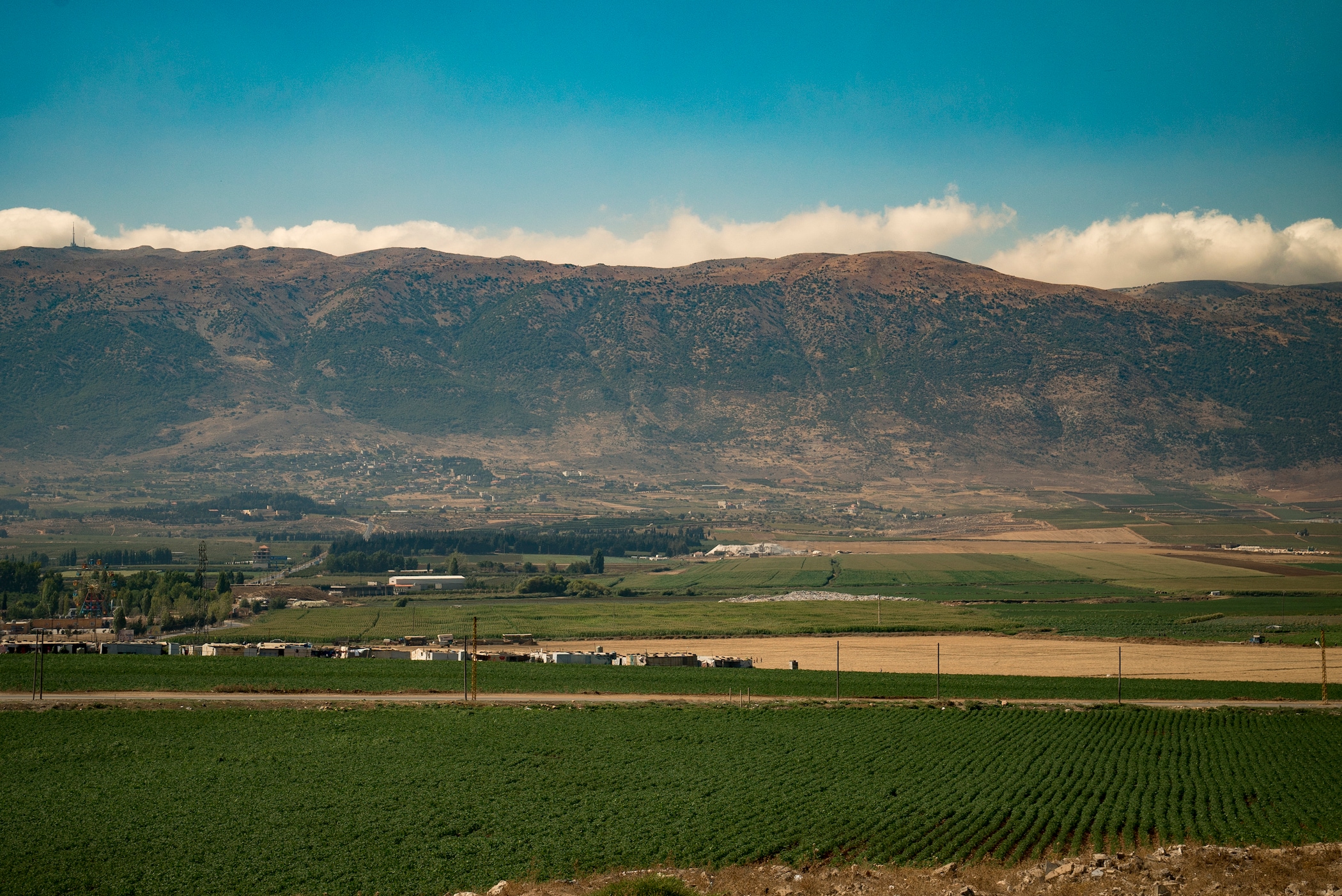 A refugee camp sits among agriculture fields in the Bekaa Valley, Lebanon. While most Syrian refugees live in apartments and in urban settings, some live in temporary camps, working in the agriculture fields. (Photo credit: Joe Proudman, UC Davis)