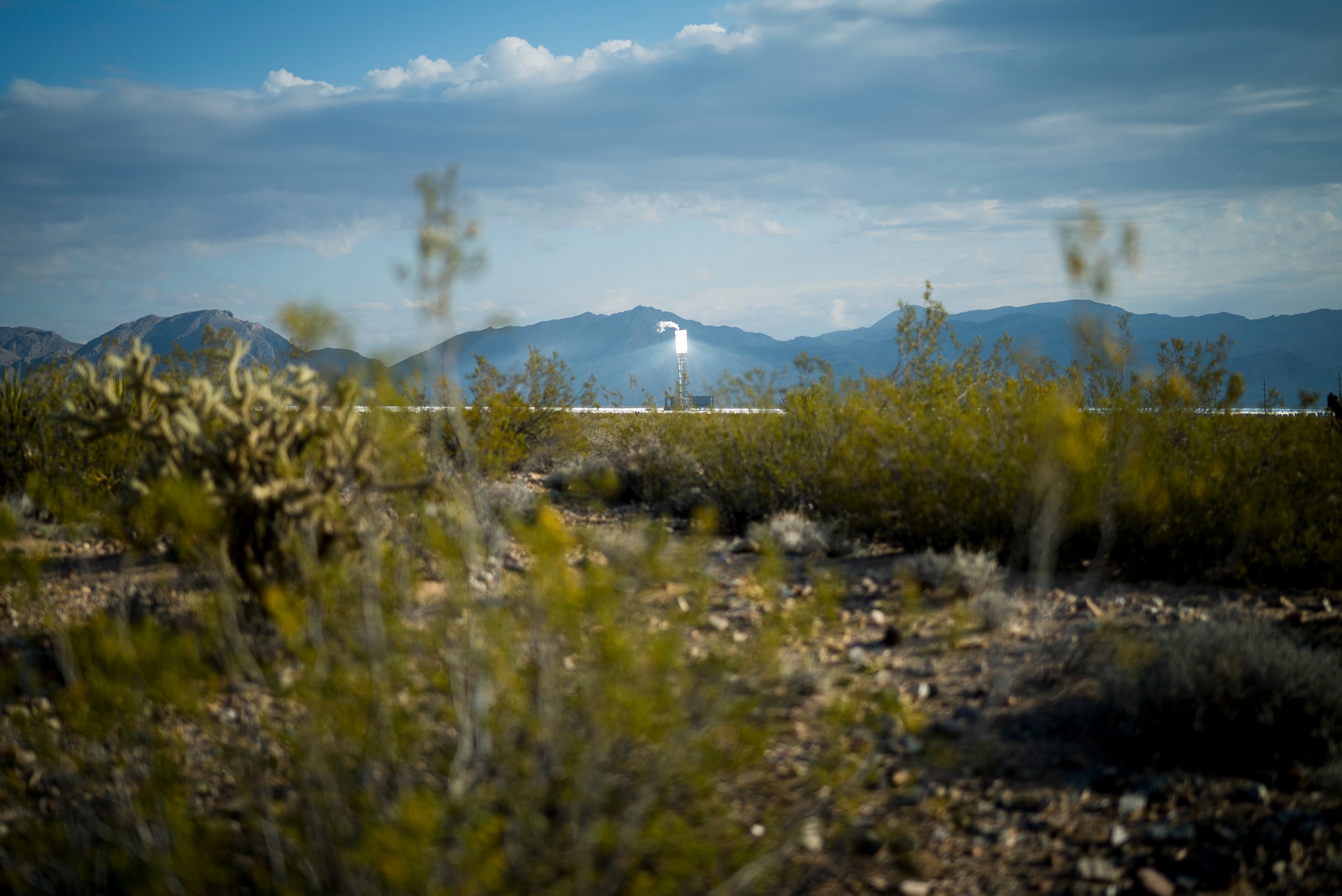 Ivanpah Solar Electric Generating System just outside of Primm, Nevada in the Mojave Desert in April 2018. ( Photo credit: Joe Proudman, UC Davis)