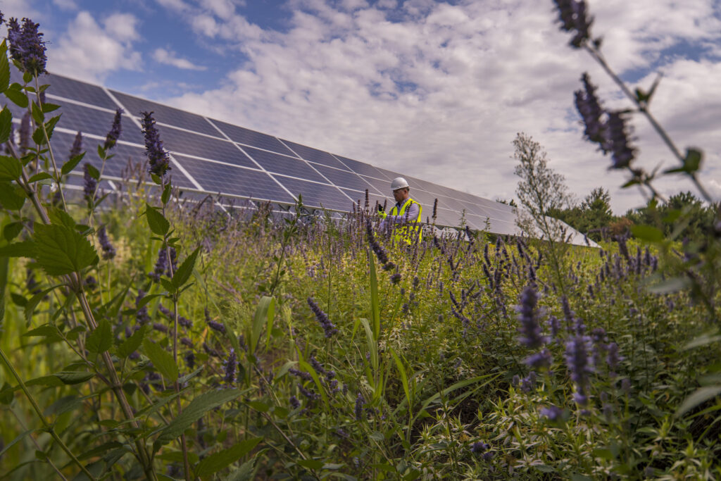 Technician in front of Enel Solar Panels at Chisago Solar in Minnesota