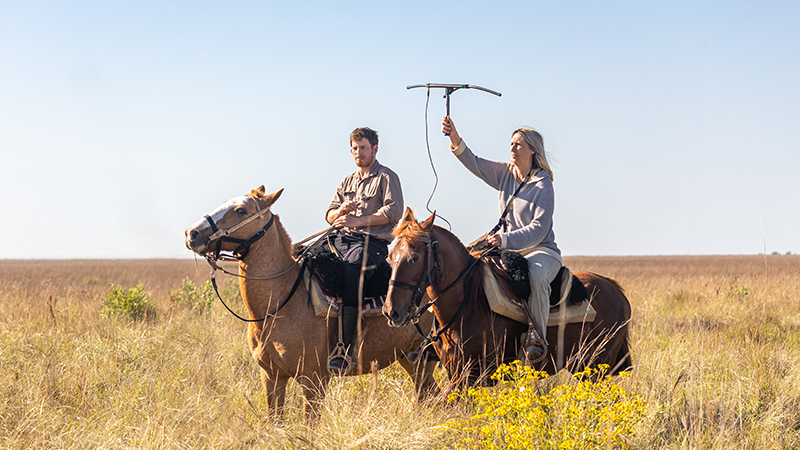 Bringing ecosystems back to life