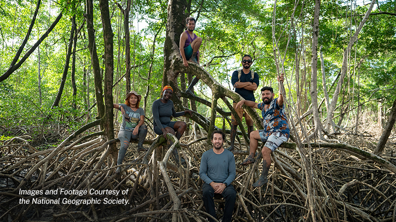 Unraveling the mysteries of the Amazon