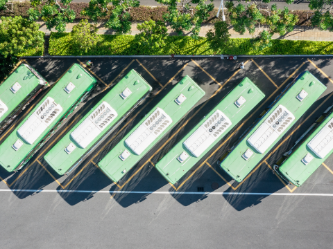 A group of green trucks parked in a parking lot.