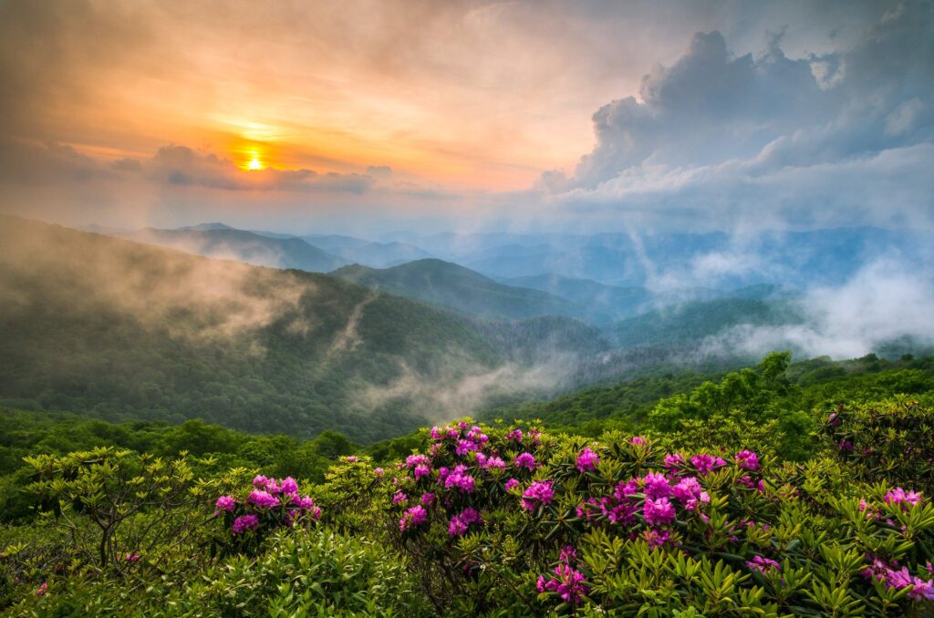 Sunrise in the great smoky mountains.