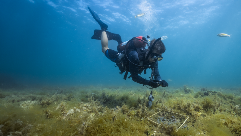 The marine biologist protecting one of the ocean’s most robust nurseries
