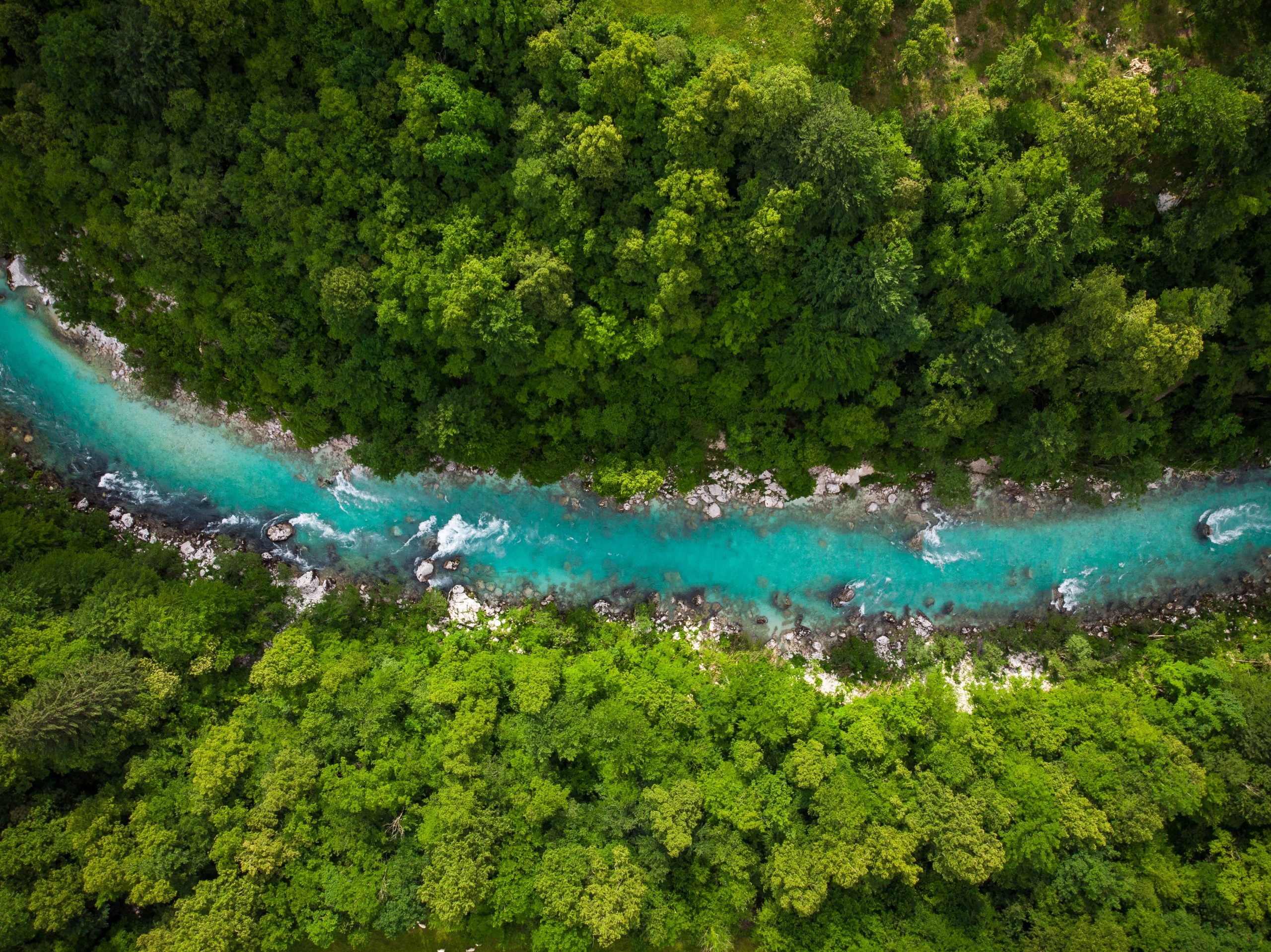 Aerial view of a turquoise river winding through dense green forest with rocky banks.