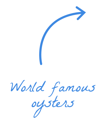 A blue curved arrow points upward to the right above the handwritten text "World famous oysters" on a plain background.