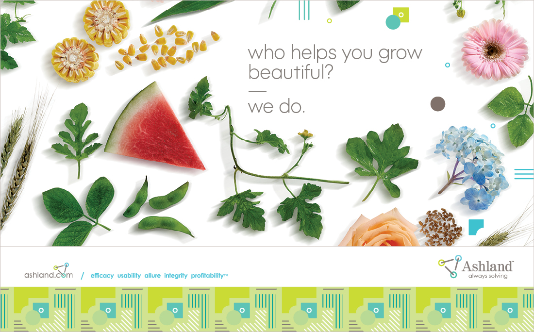 Assorted flowers, leaves, seeds, and a watermelon slice arranged on a white background with the text "who helps you grow beautiful? we do." and Ashland branding.