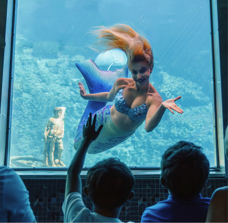 A woman in a mermaid costume poses underwater in front of an aquarium window while children watch and wave from the other side.