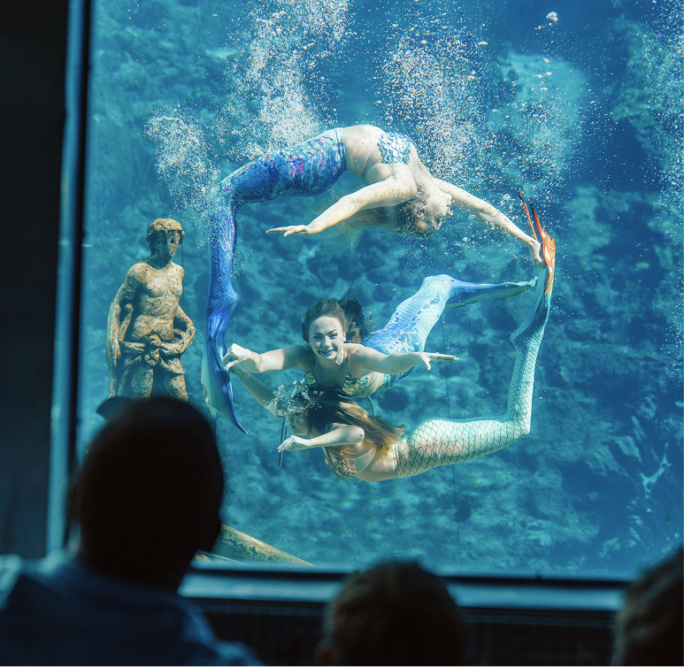 Three people in mermaid costumes perform an underwater show in front of an aquarium window, with statues and spectators visible.