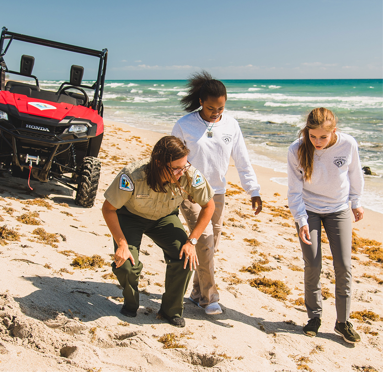 Three people, including a uniformed park ranger, examine something on a sandy beach near a red utility vehicle, with ocean waves in the background.