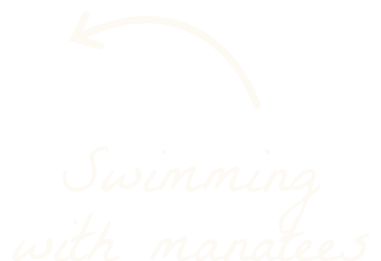 White background with a hand-drawn arrow pointing left above the handwritten text that says "Swimming with manatees.