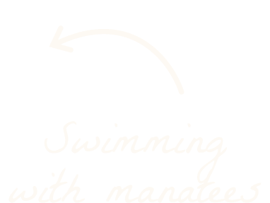 White background with a hand-drawn arrow pointing left above the handwritten text that says "Swimming with manatees.