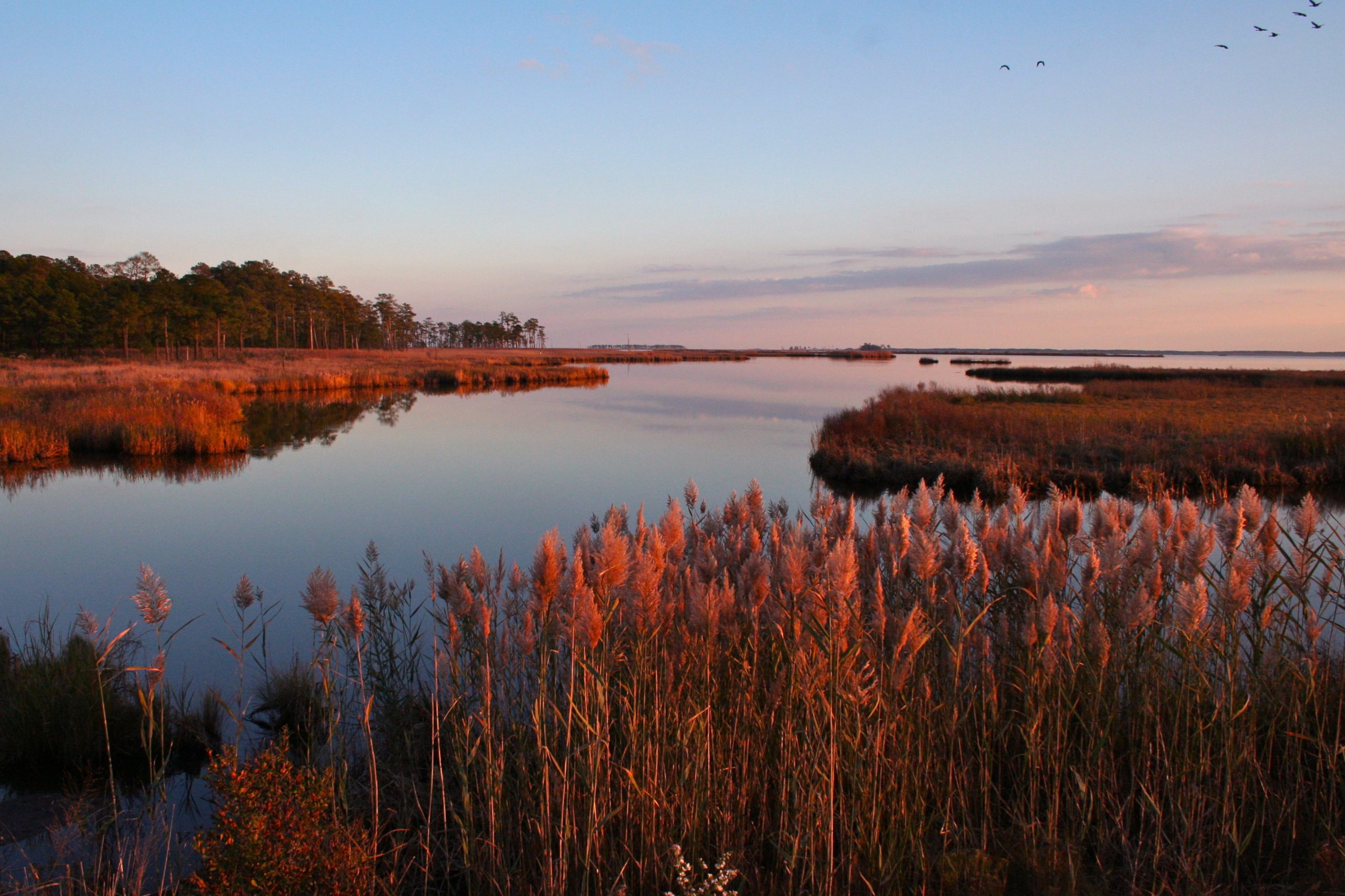 A historic summer on Maryland’s Eastern Shore