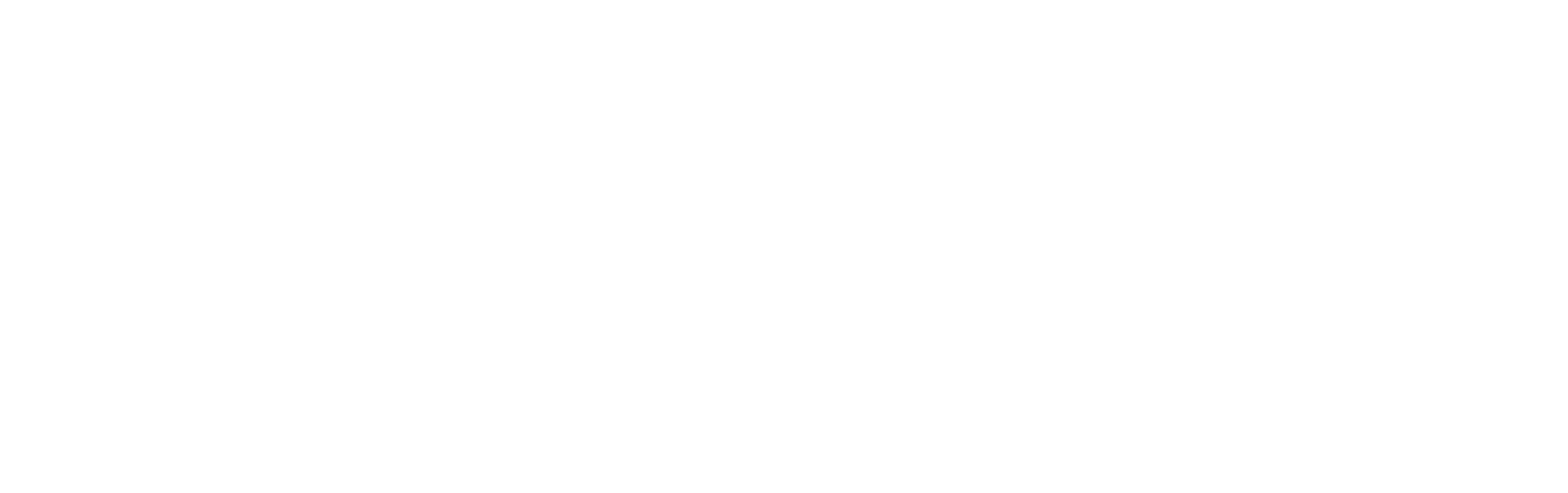 Dassault Systèmes logo with stylized "3DS" symbol on the left and the company name in bold uppercase letters on the right.