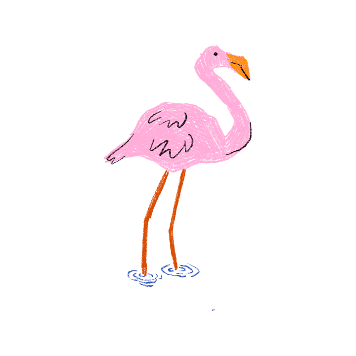 pink flamingo