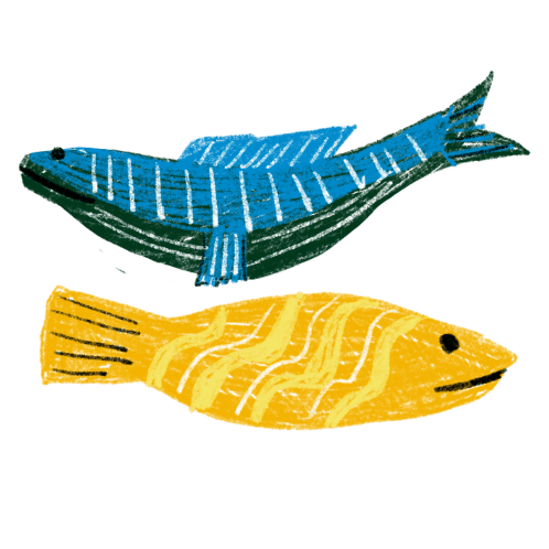 fish