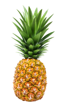 pineapple