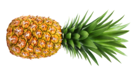 pineapple