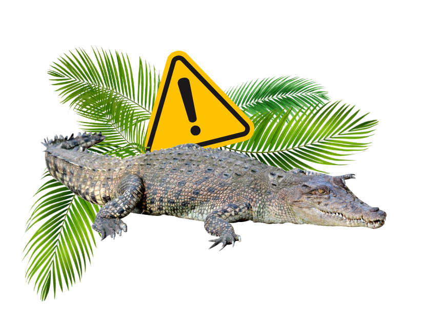 alligator with caution sign